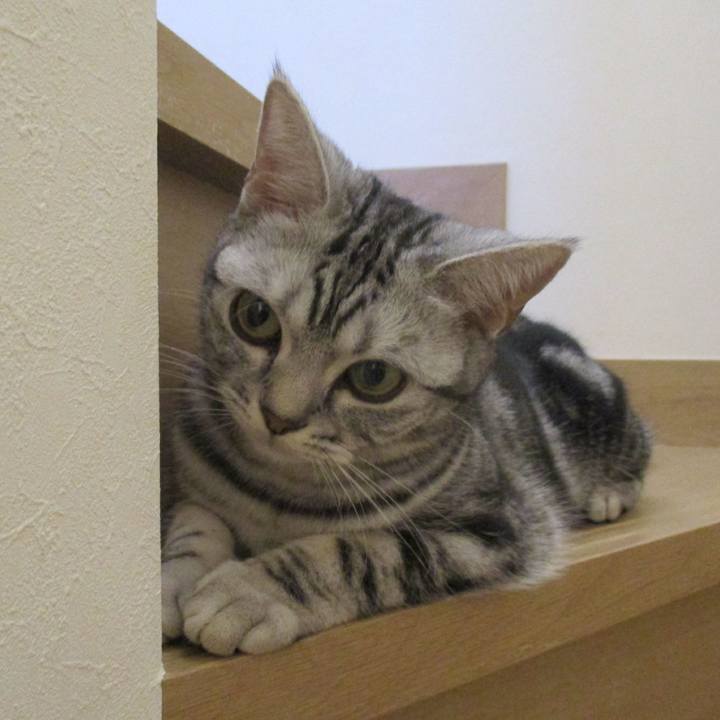 Be52cc26 15c2 4cfc ba8f c3feaa6755c7 1555225085492