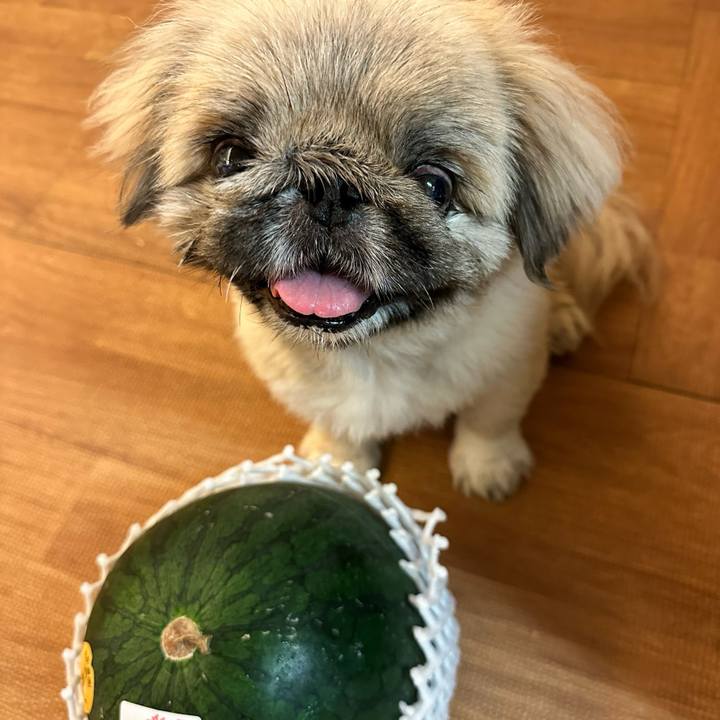 Be52d777 eabd 49a9 8fe4 39c60ce7e12e 1723154614554