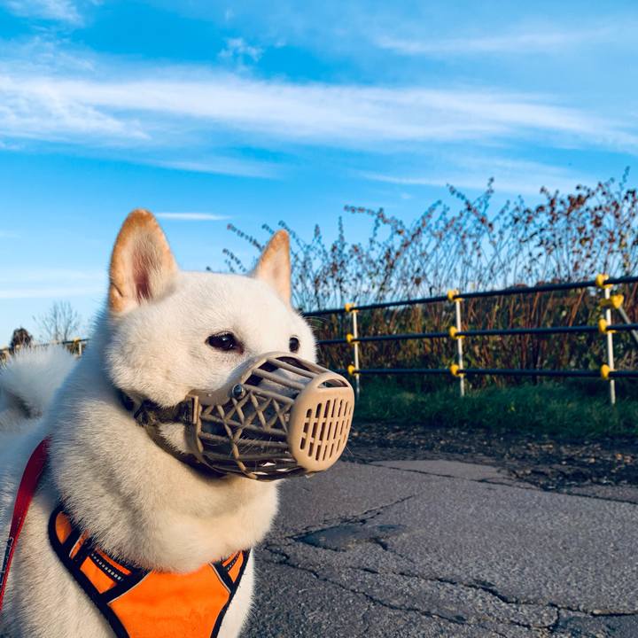 Be52dd92 1124 4658 b999 fd9cc94f12ef 1635200486473