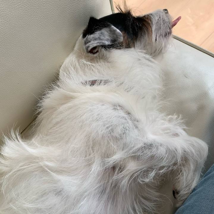 Be52dfbd e1bb 4cc7 9518 14cd49a2edff 1664769814759