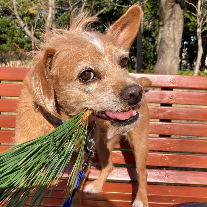 Be52fe3f 19ff 4c6e b01f cbe54b70e844 1672547511864