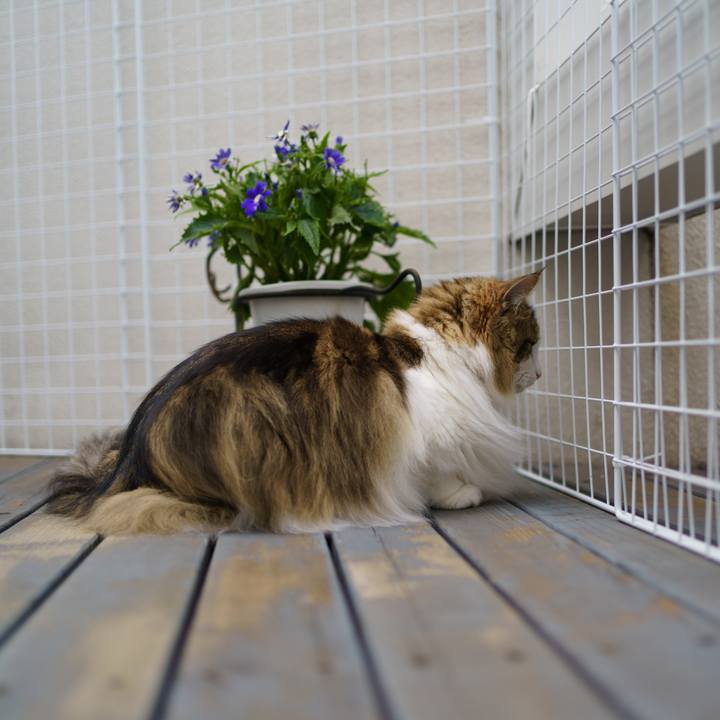 Be530180 88fe 46c2 a175 3b71d65ecb70 1650788832962