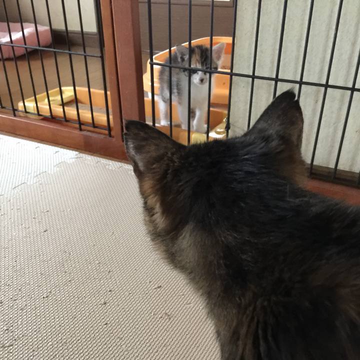 Be531e0f 2385 4dae 98a7 9de16a201b6f 1628561929497