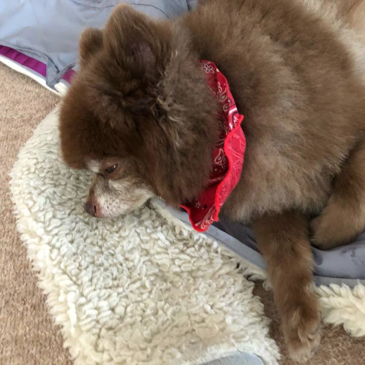 Be537017 dadd 425f 82c1 654e22941982 1638420975934