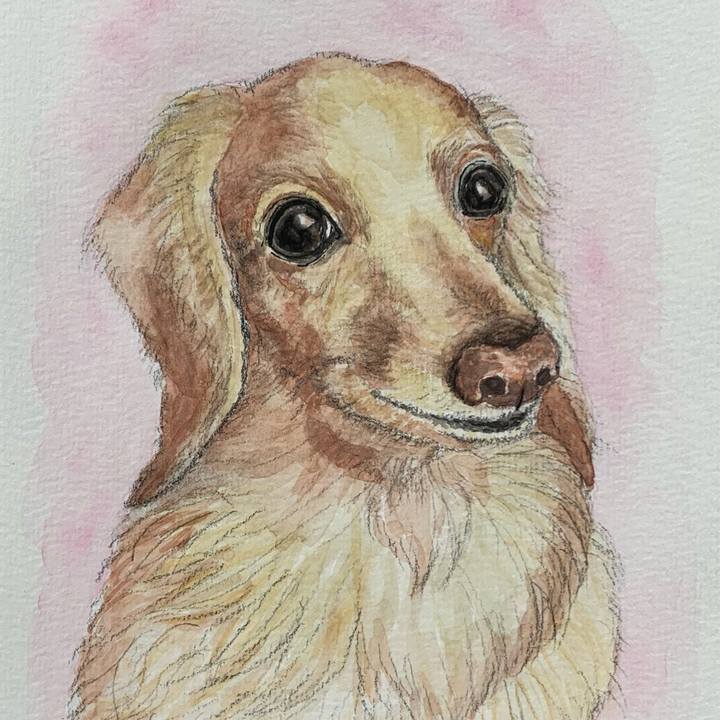 Be5375a9 9b6c 48fd 8529 b6d978d42bd5 1677983696643