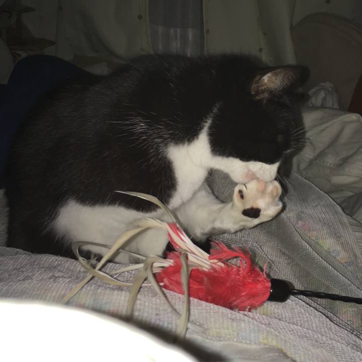 Be5382b0 91fa 497c a3bf 6c88b273e76d 1515233075564