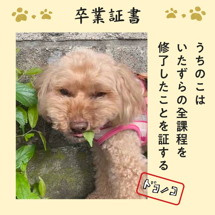 Be539342 22aa 46c7 ac28 82cefaf5b80a 1771996414203