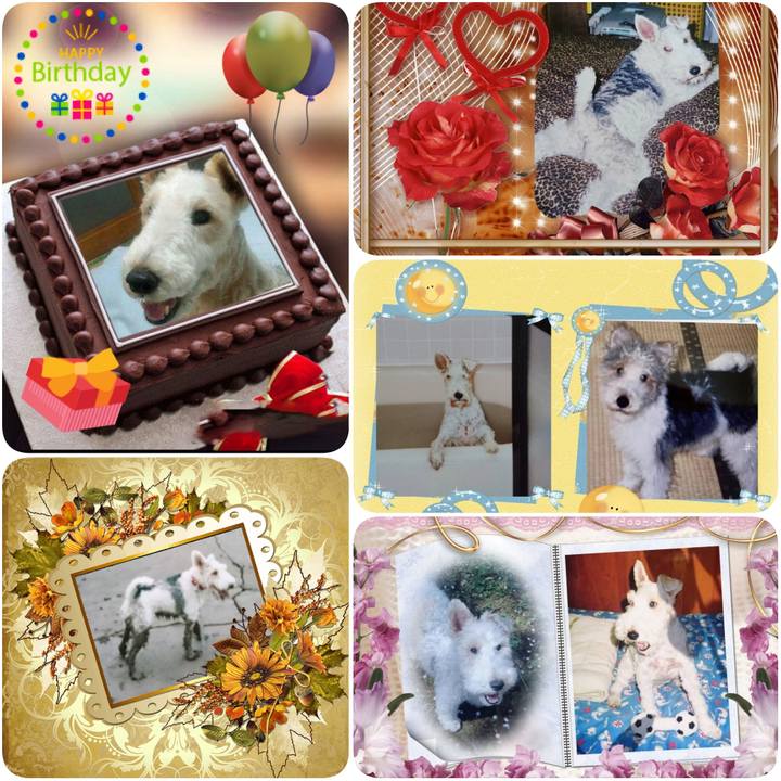 Be53c680 358a 4357 b34c 71feee3d5a29 1631846924456