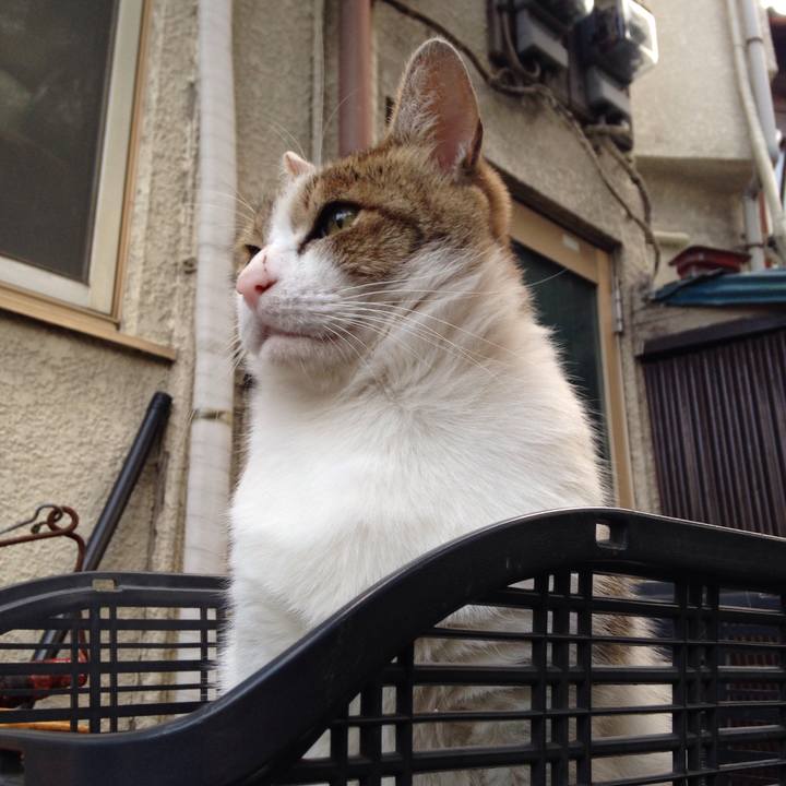 Be53e2fd 9952 459b bfab ea321852f719 1509439970733