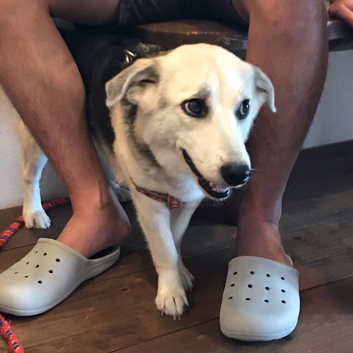 Be53fb38 b96a 4927 858a 68bc13a51eb4 1559000367138