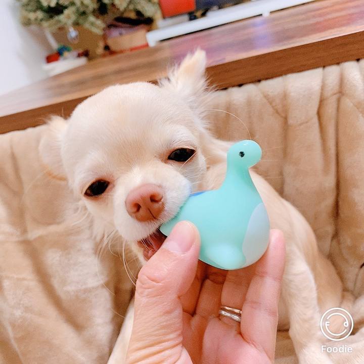 Be541ac7 3b20 4679 a34d 1813e8b8d0ad 1608792615822