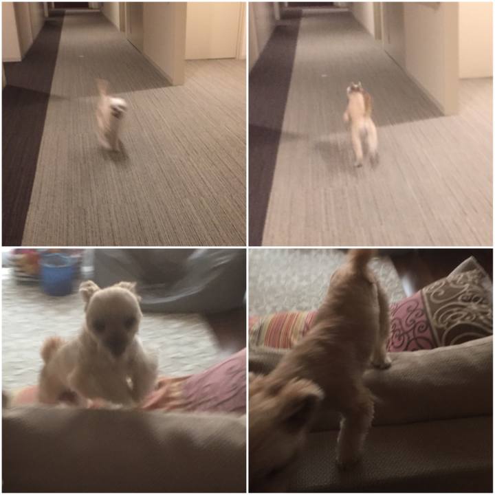 Be5455b5 2510 4f75 94e5 16d2f08b1f0e 1557488508177