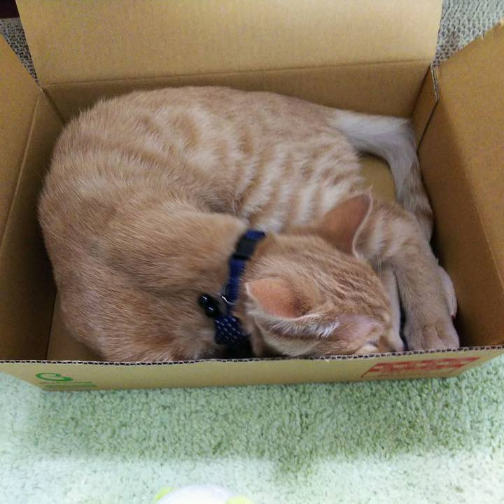 Be5458a8 8266 48fb 84c1 880fc53b4978 1545393347041