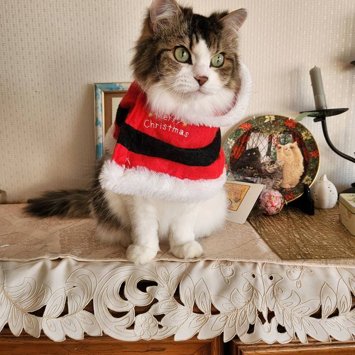 Be54adab c522 4c52 b4f5 5f879079908a 1735084964195