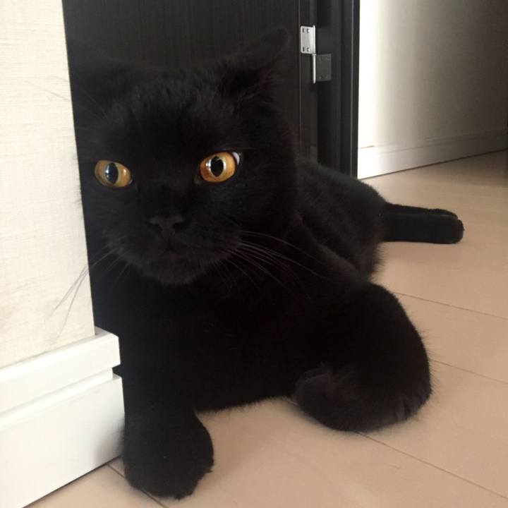 Be54adef aa2b 440b 8e21 f962ac498bcb 1565739277635