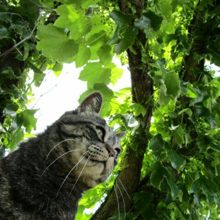 Be54b989 6b1f 41c4 bb58 a4598c5be285 1559192436723