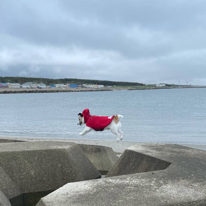 Be54f581 23cd 4445 8a63 09bf880fa264 1621293381997