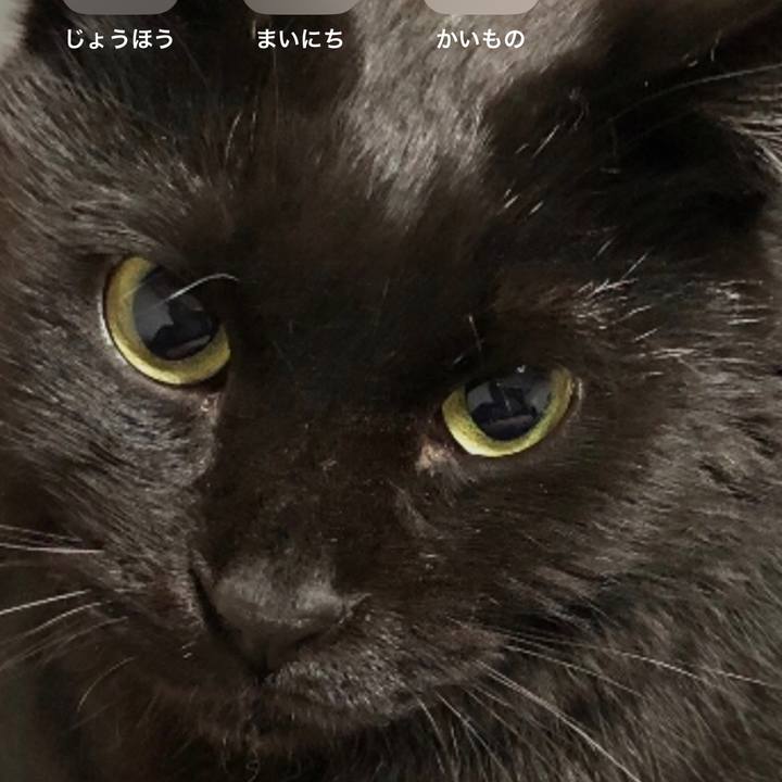 Be551396 c5ca 4b90 96c4 10131d4ba9ee 1765587375964