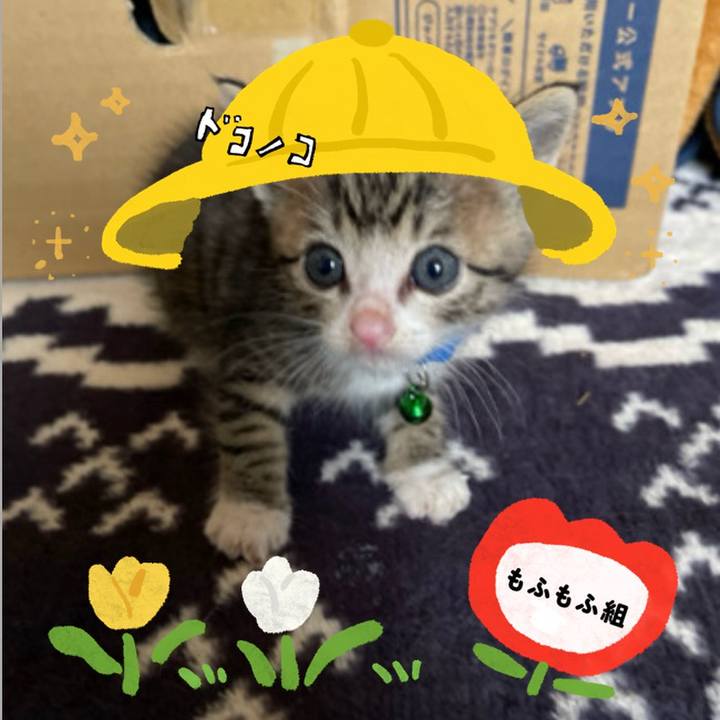 Be551847 e658 47a9 a47a 81d18fe3bd3b 1712223157366