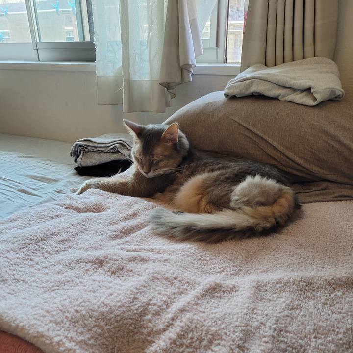 Be557ac6 536f 4432 a54b fa889fabf761 1633353405336