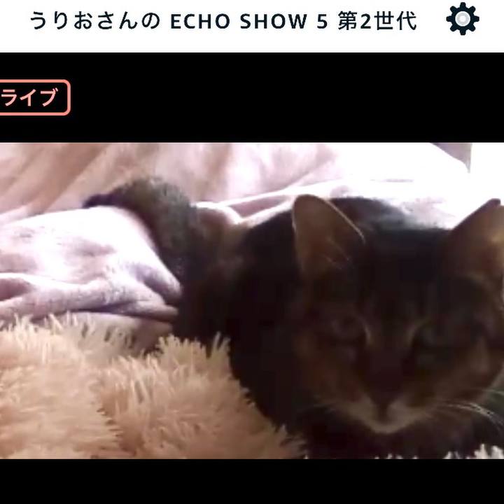 Be558aff dca0 410b ab5c 04bec7c0e1cd 1706575676976