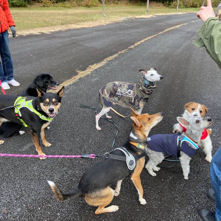 Be558f54 20cb 4858 abec 6cb2d837d9b0 1637677164355