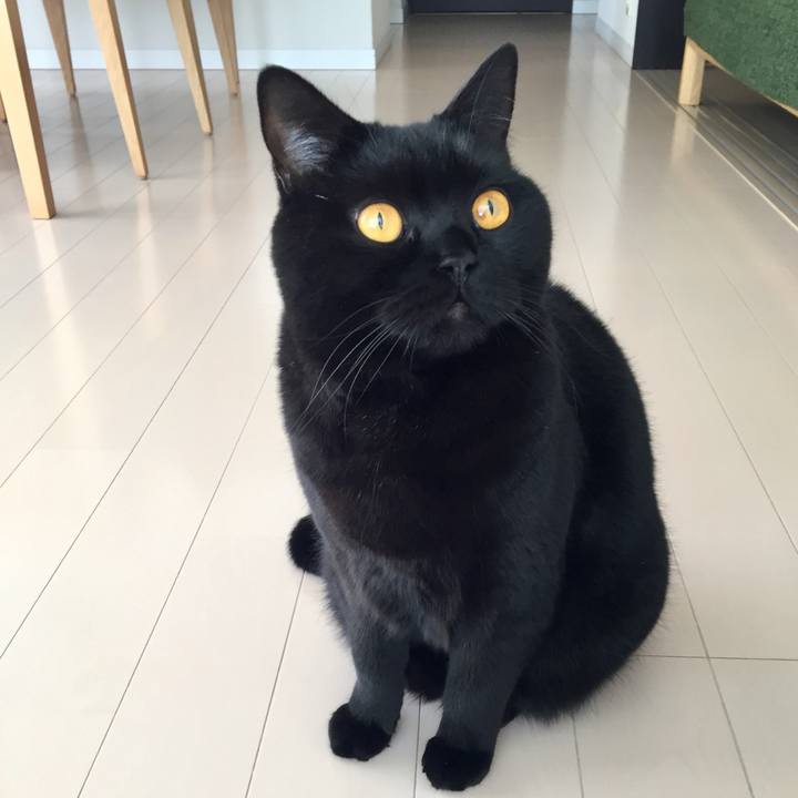 Be55be21 c542 46de 86b7 8112b4db7d5d 1546130205638