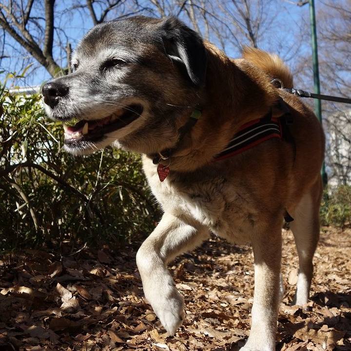 Be55ccd8 b779 472f a61b 11f7f173bc53 1520038765726