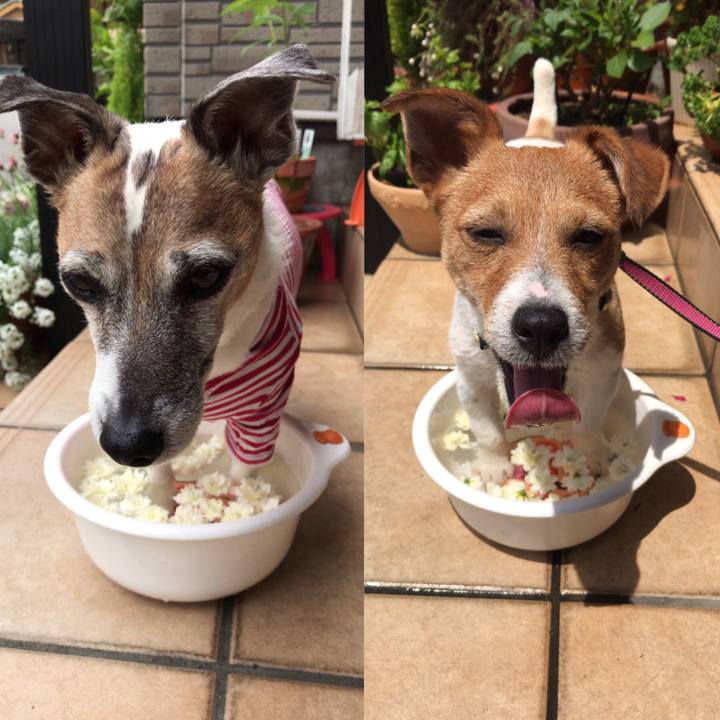 Be55cd17 3aa2 4023 b203 800f27a0f2b3 1557272931901