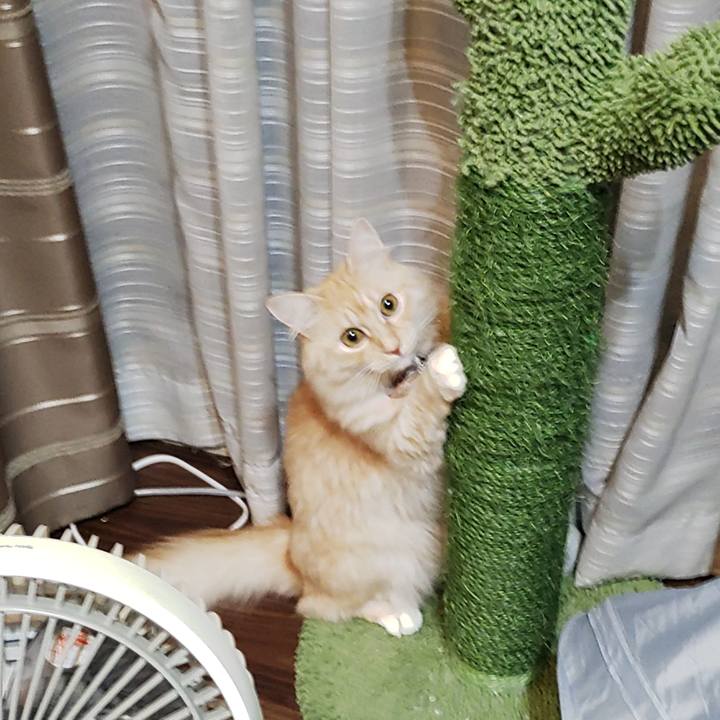 Be55ef05 bb11 4901 9ee3 d603e60b9e63 1698940223631