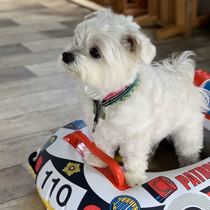 Be55f217 6069 449d 8cde fbd0a6a7661f 1584963202854