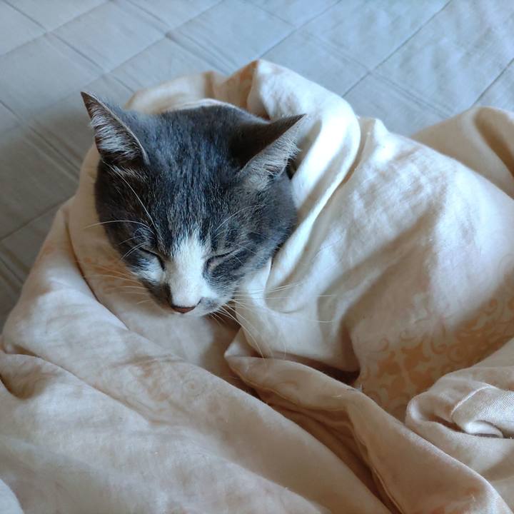 Be55f907 dfa8 4dd8 9e82 f6ab9d76504c 1666313388138