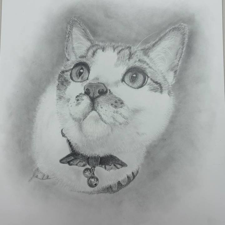 Be5665a1 5fd0 410e b853 0990bbb32b52 1770272353681