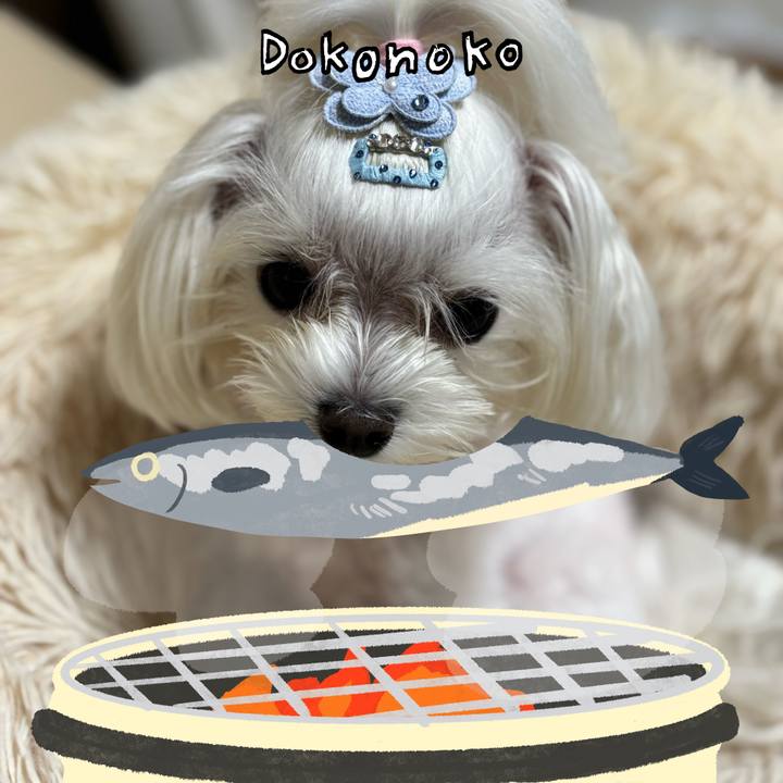 Be566e02 54b6 4c63 a730 54126f03cc16 1761478988261