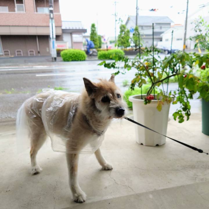 Be5699db 8cd2 4fab b60b e9782e49f27a 1625101456349