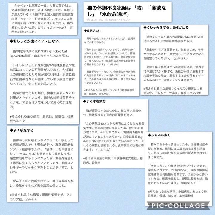 Be56d068 1f06 491c 815f 17a9e40b9684 1533740479992