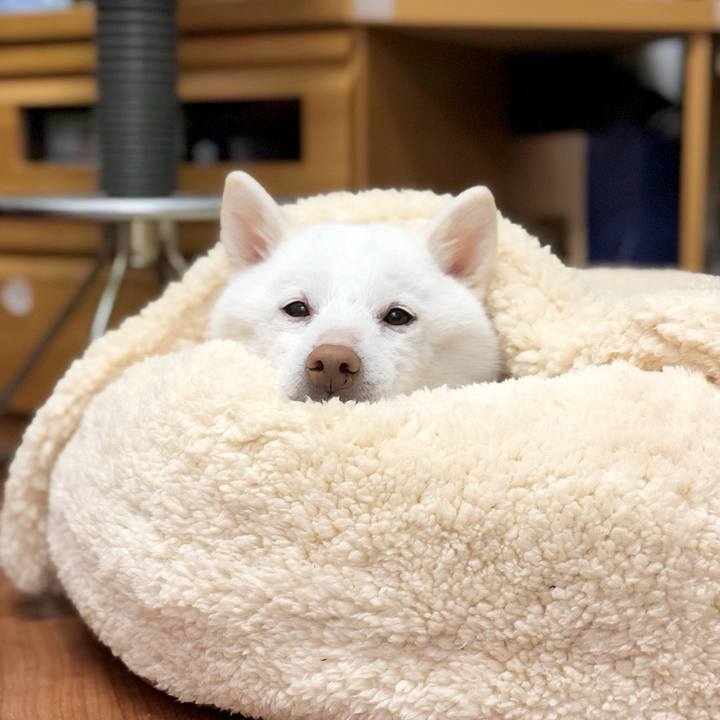 Be56e86f acb5 45db 9a35 5a7eb3e9d55f 1770557767599