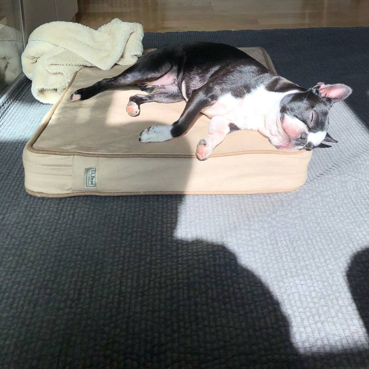 Be570231 697b 4f63 b9d4 966eaf85f53d 1558048176229