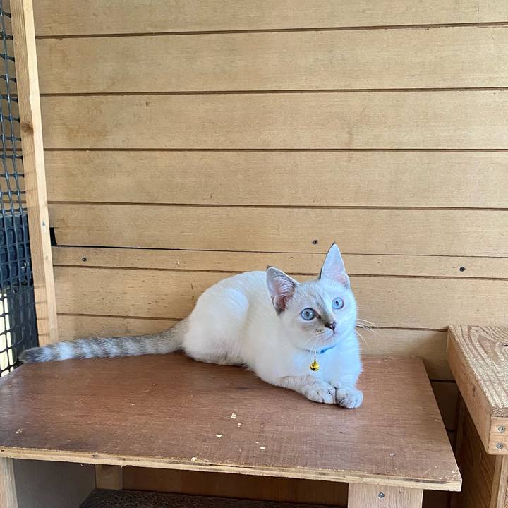 Be57052b 3cc2 4af3 a489 c576b3bd265a 1631159864844