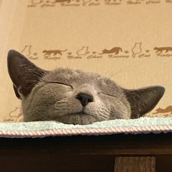 Be57269e dfeb 4265 a366 a0003de8bdb3 1619265744556