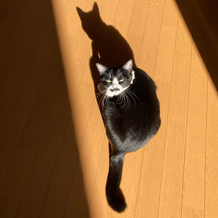 Be572a99 286a 4a2a 8dcc b3fa915dc432 1701015417275