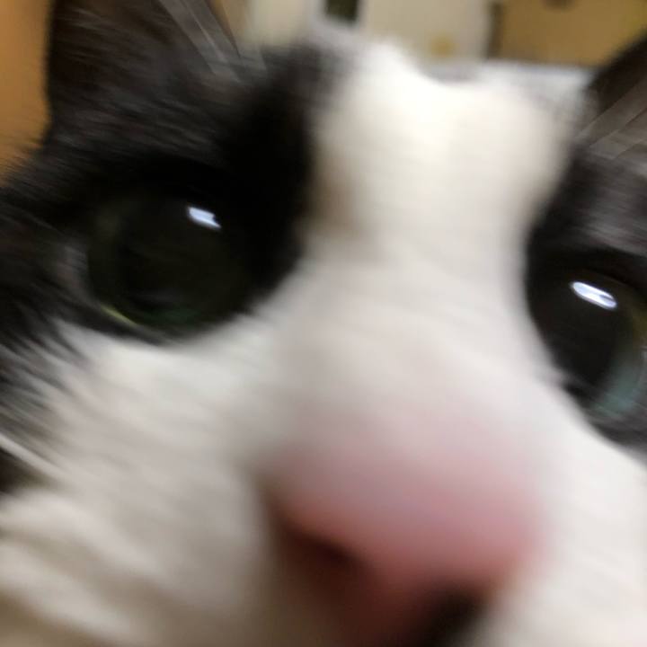 Be5759e0 bee6 4a67 87cf ba100e3e7ade 1587027508961