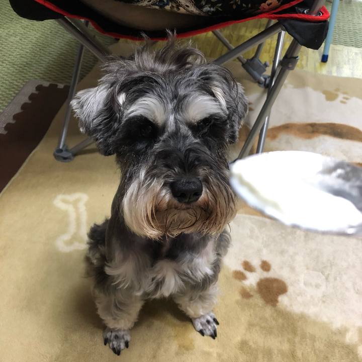 Be57925b ee5d 43bb b0c1 2c9059475880 1560664733488