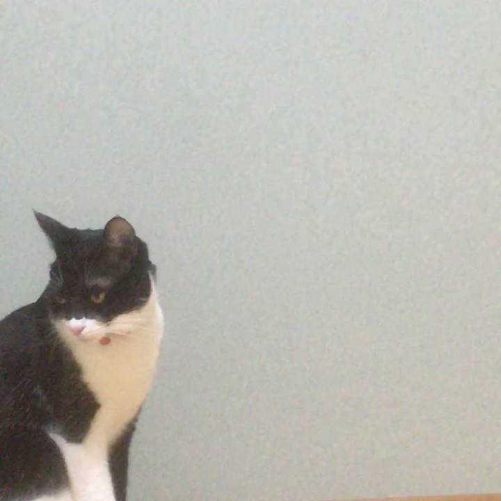 Be57de22 6b5e 40ec afce cfa61f20bd43 1555809262165