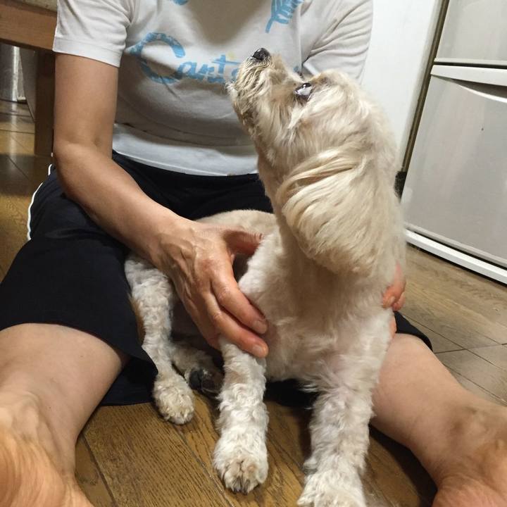 Be57e425 257b 4c2a aa88 5a56365ef2cf 1569575528708