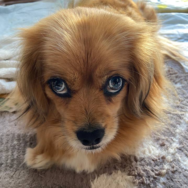 Be57f601 e49b 4c46 a715 7a83da71f479 1621287585981