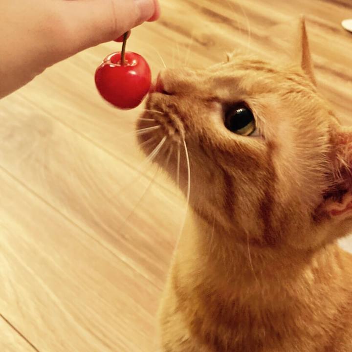 Be58186e 12be 4a91 950e 650fa7f20e19 1594035090916