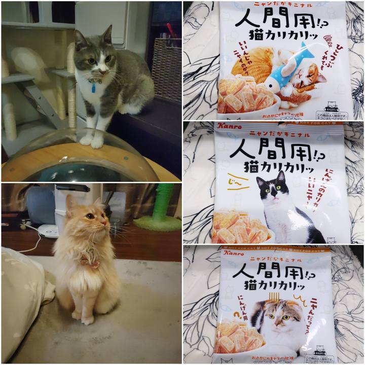 Be583eb5 7ea7 4f30 9a8a 0473e3bbc201 1675864273331