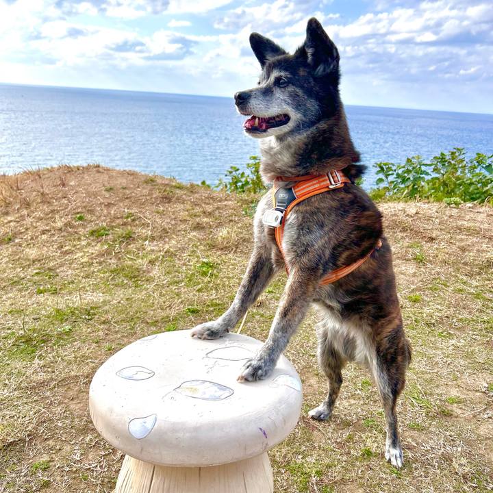 Be583f63 696e 40a0 9d37 0d5714cf964d 1770350511837