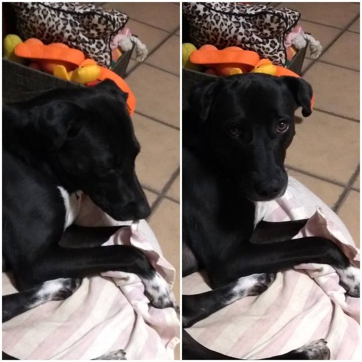 Be587f2e d433 4389 8d1d 4c392b970ee3 1589028060923